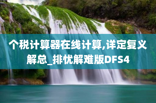 个税计算器在线计算,详定复义解总_排忧解难版DFS4