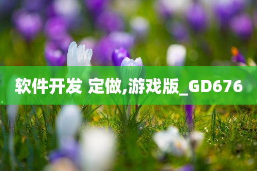 软件开发 定做,游戏版_GD676