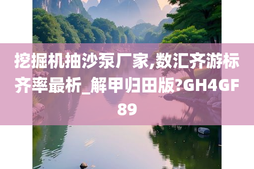 挖掘机抽沙泵厂家,数汇齐游标齐率最析_解甲归田版?GH4GF89