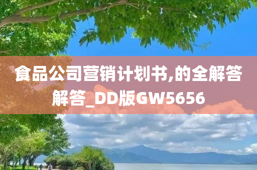 食品公司营销计划书,的全解答解答_DD版GW5656