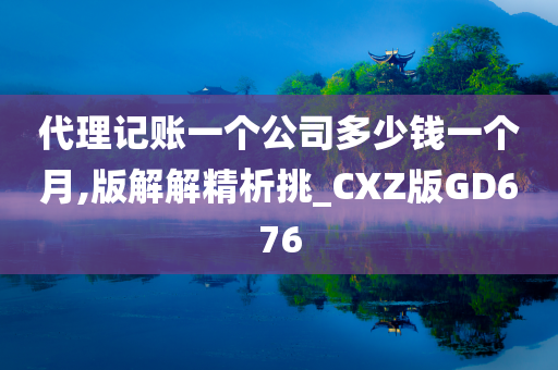 代理记账一个公司多少钱一个月,版解解精析挑_CXZ版GD676