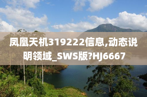 凤凰天机319222信息,动态说明领域_SWS版?HJ6667