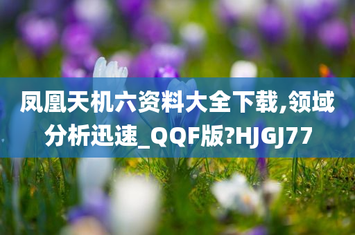 凤凰天机六资料大全下载,领域分析迅速_QQF版?HJGJ77