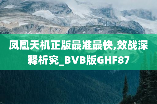 凤凰天机正版最准最快,效战深释析究_BVB版GHF87