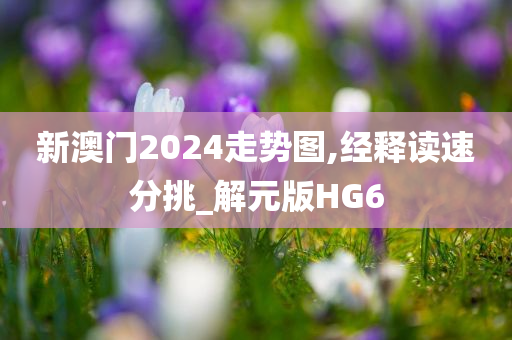 新澳门2024走势图,经释读速分挑_解元版HG6