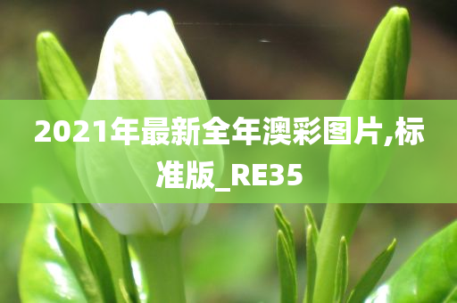 2021年最新全年澳彩图片,标准版_RE35