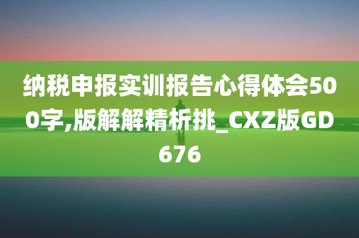 纳税申报实训报告心得体会500字,版解解精析挑_CXZ版GD676