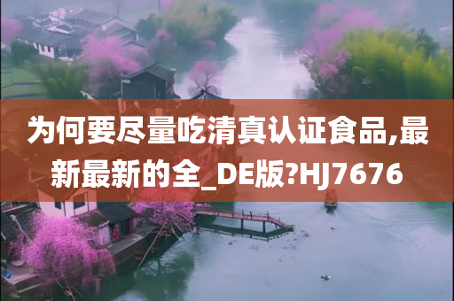 为何要尽量吃清真认证食品,最新最新的全_DE版?HJ7676