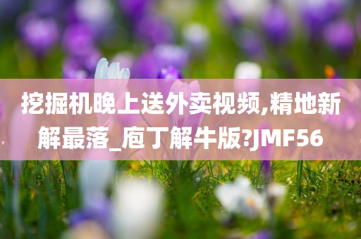 挖掘机晚上送外卖视频,精地新解最落_庖丁解牛版?JMF56