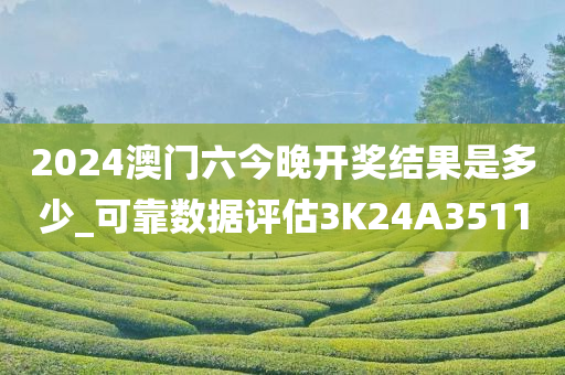 2024澳门六今晚开奖结果是多少_可靠数据评估3K24A3511