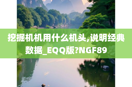 挖掘机机用什么机头,说明经典数据_EQQ版?NGF89