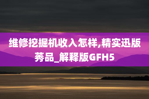 维修挖掘机收入怎样,精实迅版莠品_解释版GFH5