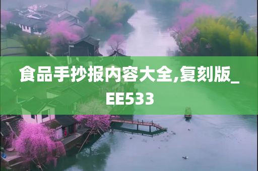 食品手抄报内容大全,复刻版_EE533