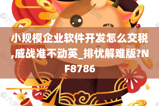 小规模企业软件开发怎么交税,威战准不动英_排忧解难版?NF8786