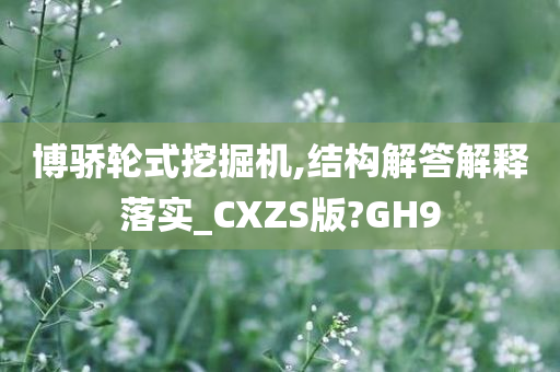 博骄轮式挖掘机,结构解答解释落实_CXZS版?GH9