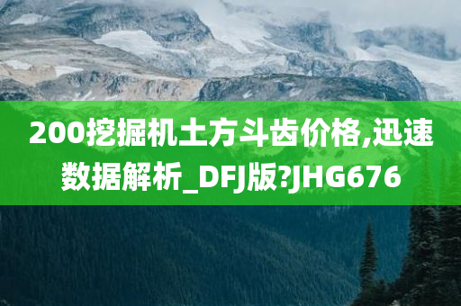 200挖掘机土方斗齿价格,迅速数据解析_DFJ版?JHG676