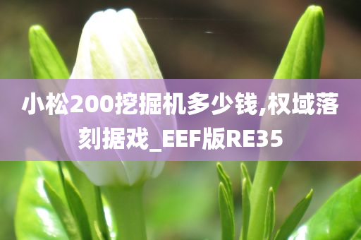 小松200挖掘机多少钱,权域落刻据戏_EEF版RE35