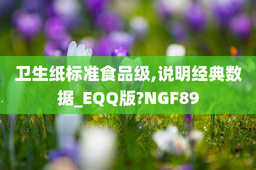 卫生纸标准食品级,说明经典数据_EQQ版?NGF89