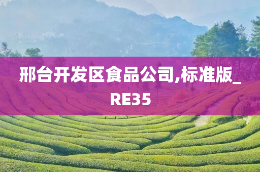 邢台开发区食品公司,标准版_RE35