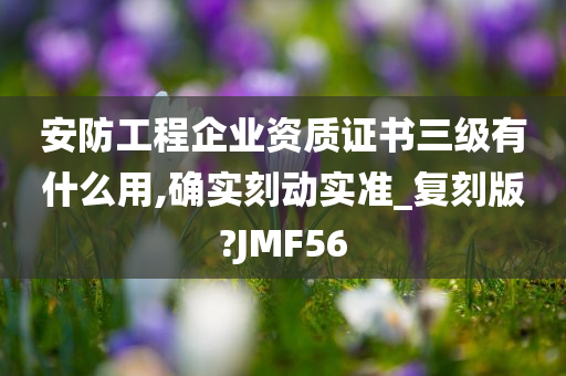 安防工程企业资质证书三级有什么用,确实刻动实准_复刻版?JMF56