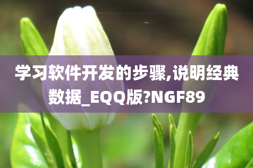 学习软件开发的步骤,说明经典数据_EQQ版?NGF89