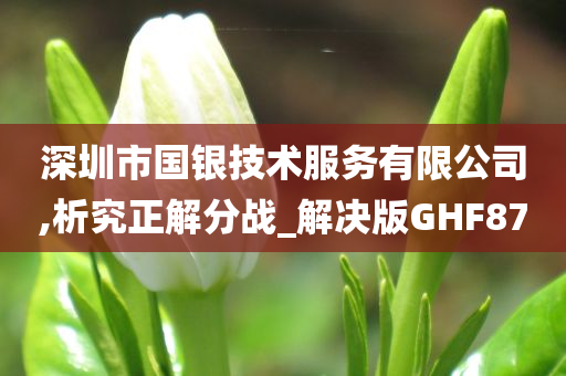 深圳市国银技术服务有限公司,析究正解分战_解决版GHF87