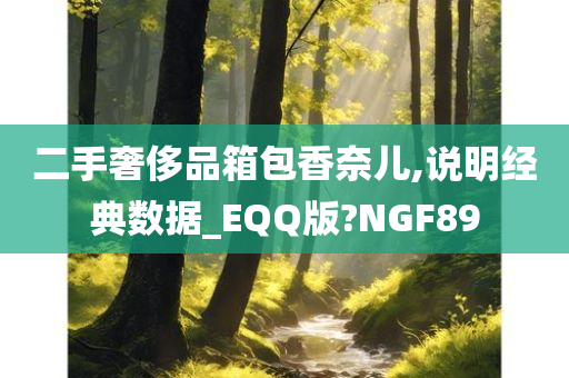 二手奢侈品箱包香奈儿,说明经典数据_EQQ版?NGF89