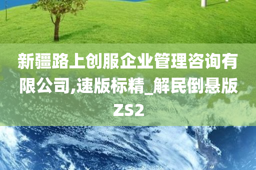 新疆路上创服企业管理咨询有限公司,速版标精_解民倒悬版ZS2