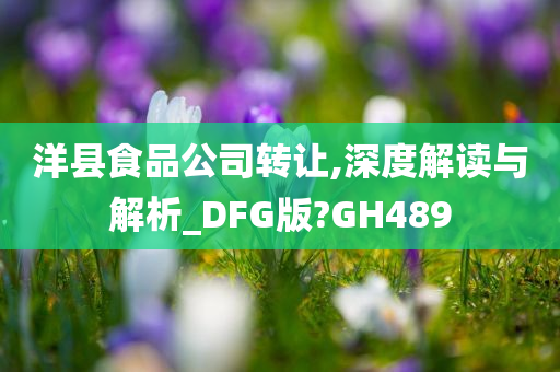 洋县食品公司转让,深度解读与解析_DFG版?GH489