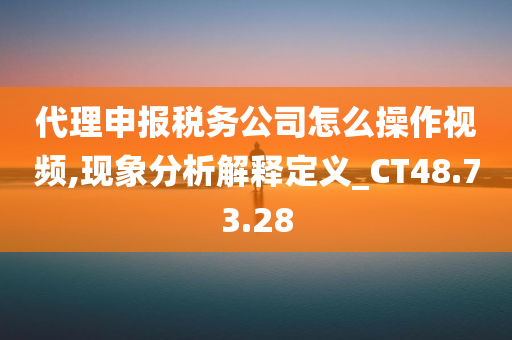 代理申报税务公司怎么操作视频,现象分析解释定义_CT48.73.28