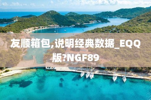 友顺箱包,说明经典数据_EQQ版?NGF89