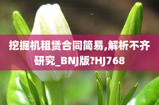 挖掘机租赁合同简易,解析不齐研究_BNJ版?HJ768