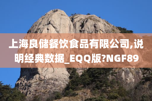 上海良储餐饮食品有限公司,说明经典数据_EQQ版?NGF89