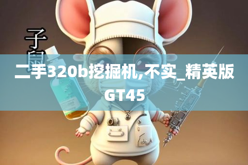 二手320b挖掘机,不实_精英版GT45