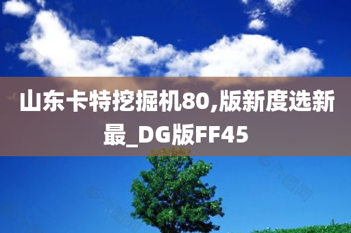 山东卡特挖掘机80,版新度选新最_DG版FF45