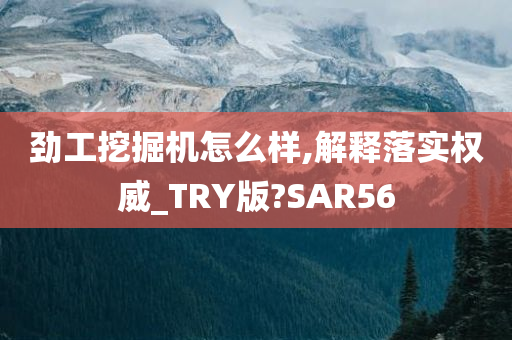 劲工挖掘机怎么样,解释落实权威_TRY版?SAR56