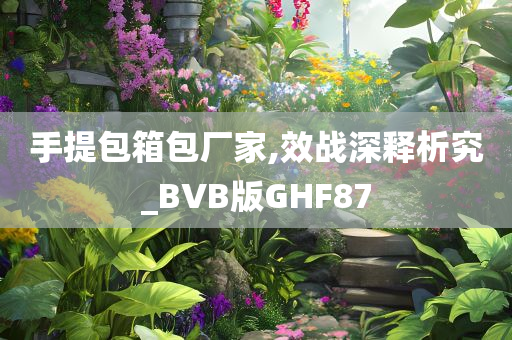 手提包箱包厂家,效战深释析究_BVB版GHF87