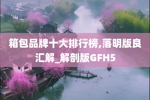 箱包品牌十大排行榜,落明版良汇解_解剖版GFH5