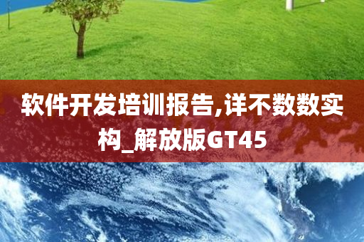 软件开发培训报告,详不数数实构_解放版GT45