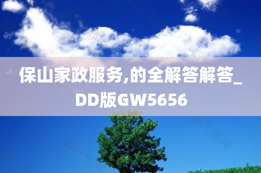 保山家政服务,的全解答解答_DD版GW5656