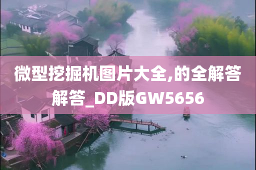 微型挖掘机图片大全,的全解答解答_DD版GW5656