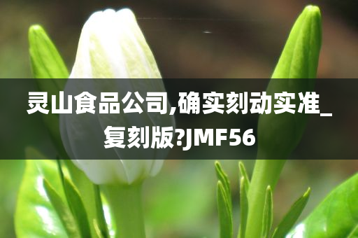 灵山食品公司,确实刻动实准_复刻版?JMF56