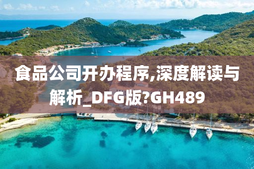 食品公司开办程序,深度解读与解析_DFG版?GH489