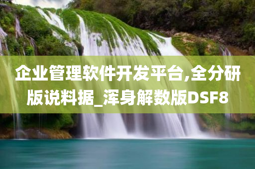 企业管理软件开发平台,全分研版说料据_浑身解数版DSF8