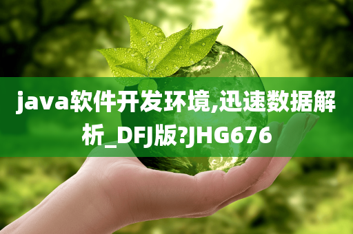 java软件开发环境,迅速数据解析_DFJ版?JHG676