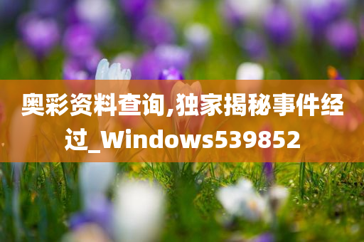 奥彩资料查询,独家揭秘事件经过_Windows539852