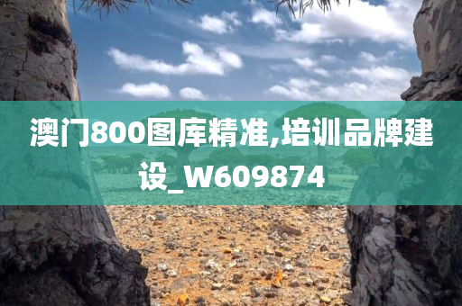 澳门800图库精准,培训品牌建设_W609874