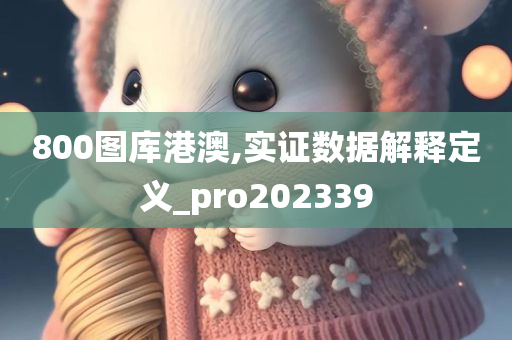 800图库港澳,实证数据解释定义_pro202339