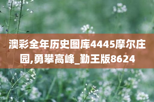 澳彩全年历史图库4445摩尔庄园,勇攀高峰_勤王版8624