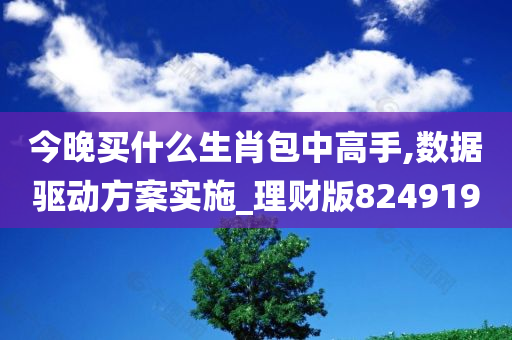 今晚买什么生肖包中高手,数据驱动方案实施_理财版824919